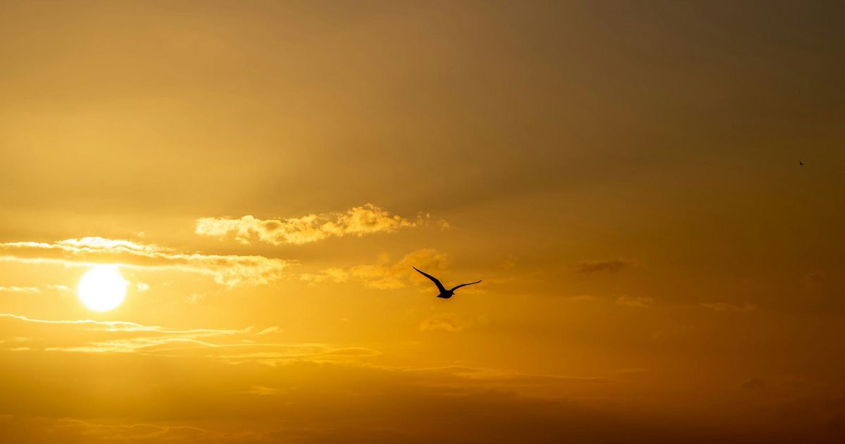 Sjostakovitsj en Prokofjev | RPhO