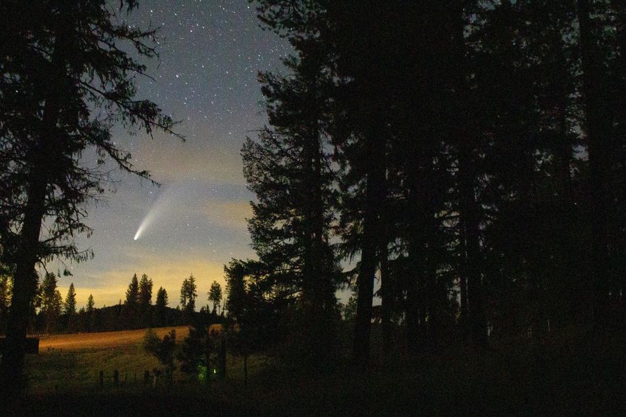 Avondlandschap met silhouetten van hoge bomen aan beide zijden en een heldere komeet of vallende ster aan de hemel boven een verlichte horizon.