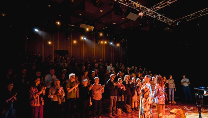 Het publiek geniet van de show en klapt